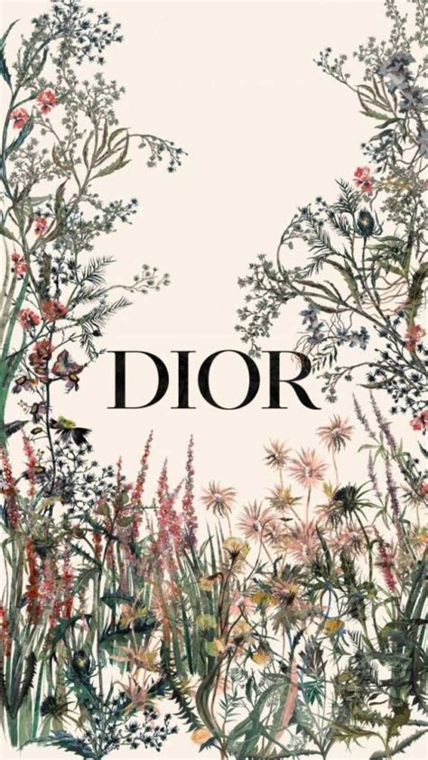 fond ecran dior|Dior miss wallpapers.